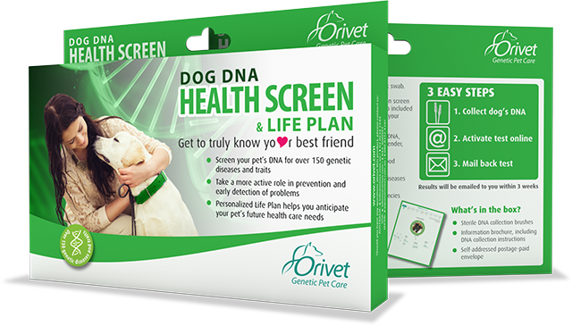 Dog DNA Health Screen