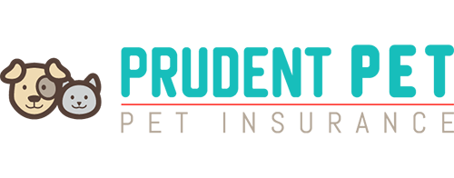 Coverage Options for Prudent Pet