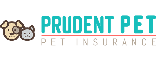 Prudent Pet